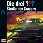 Cover: Straße des Grauens