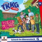 Cover: Schock im Bienenstock